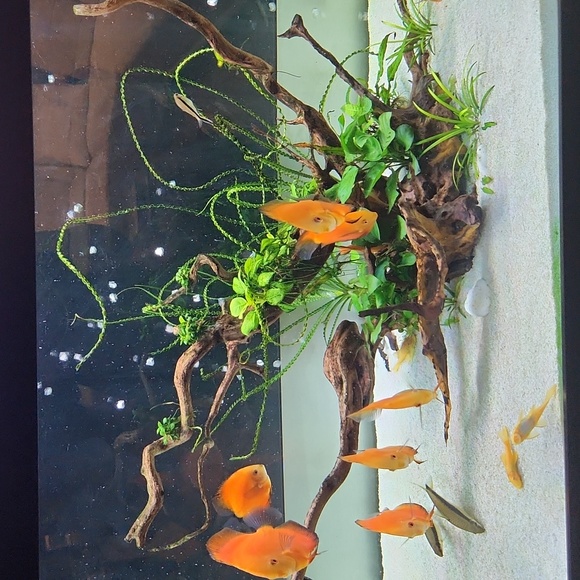 Unlisted - Picture 2 of 5